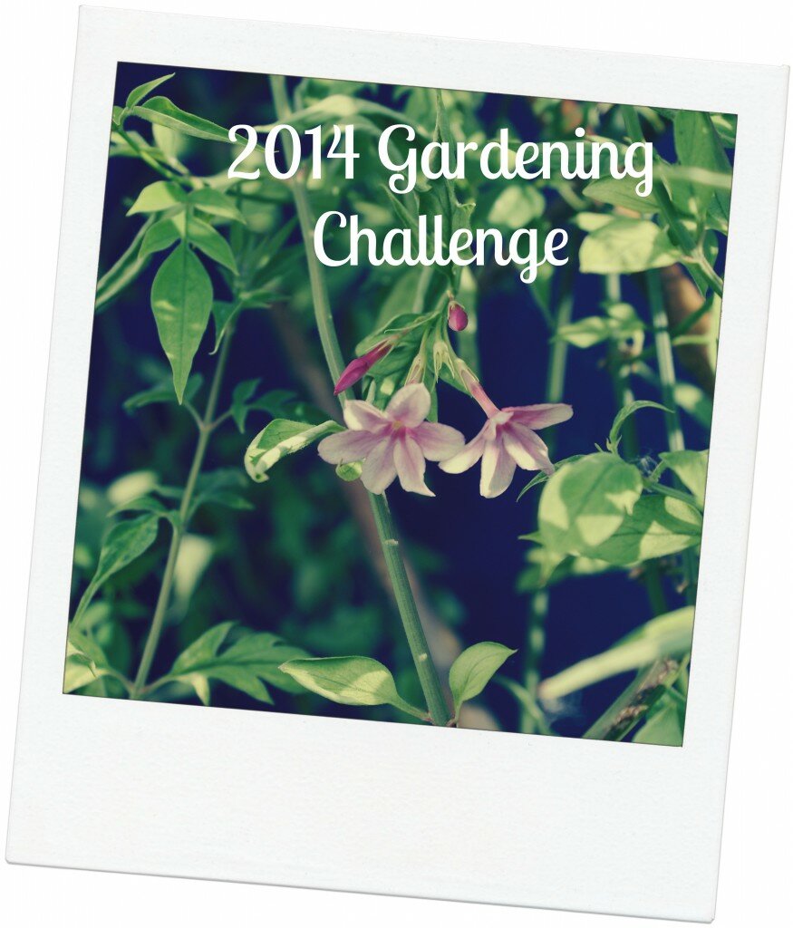 gardening challenge