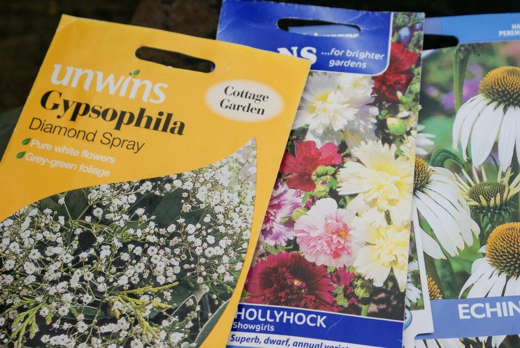 sowing seeds in march