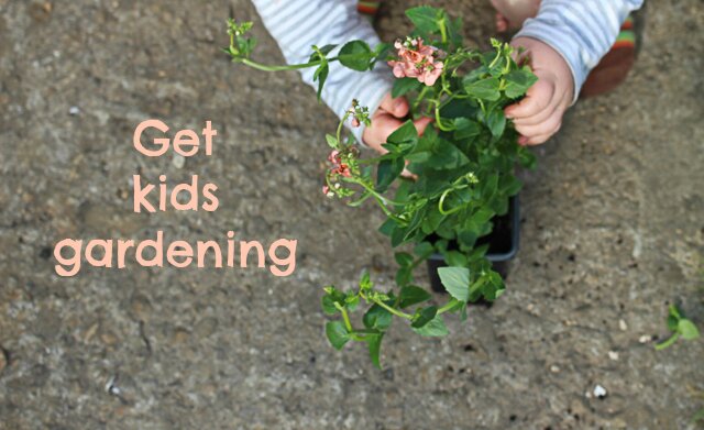 get kids gardening